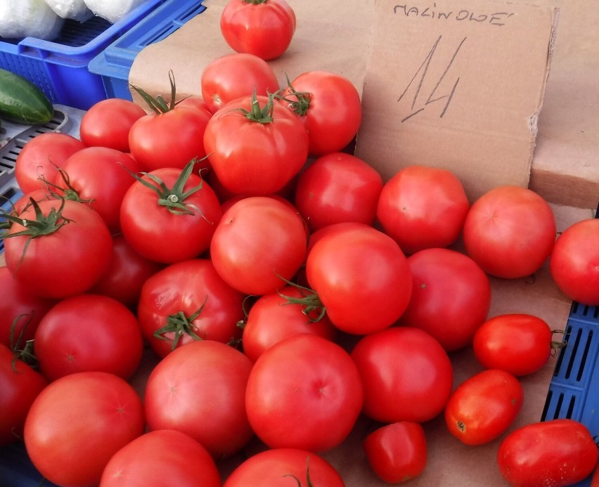 Pomidory malinowe kosztowały 14 złotych za kilogram