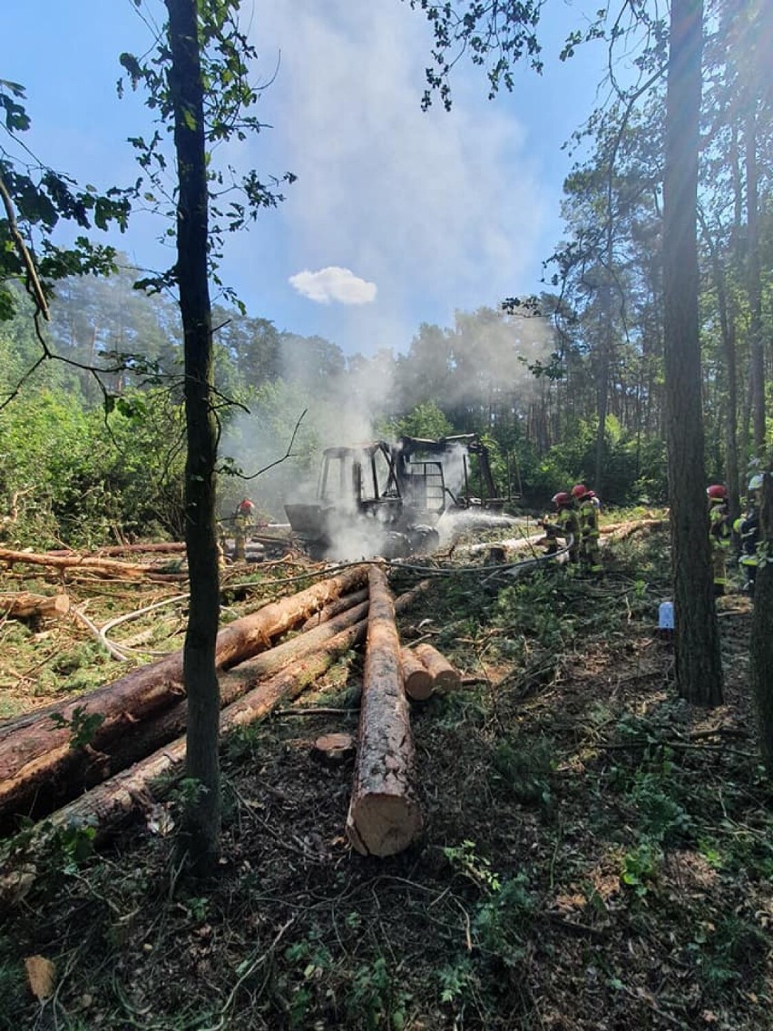 W Żbikach zapaliła się maszyna pracująca w lesie przy wycince drzew