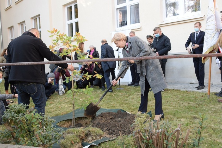 Więcej zieleni w regionie. 40 nowych dębów będzie rosło przy szkołach w woj. lubelskim 