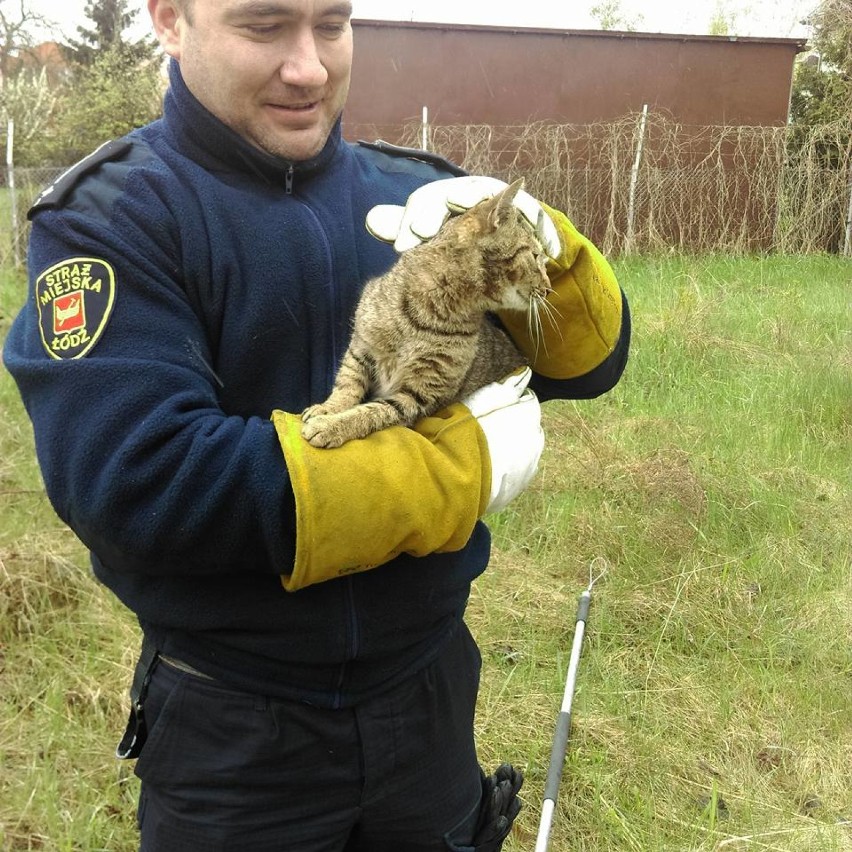 Kot został wyciągnięty ze studni przez strażników z Animal...