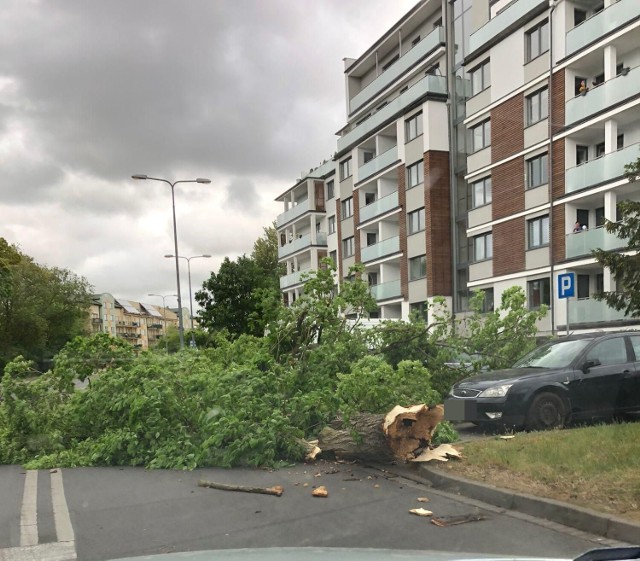 Skutki majowej burzy w Szczecinku