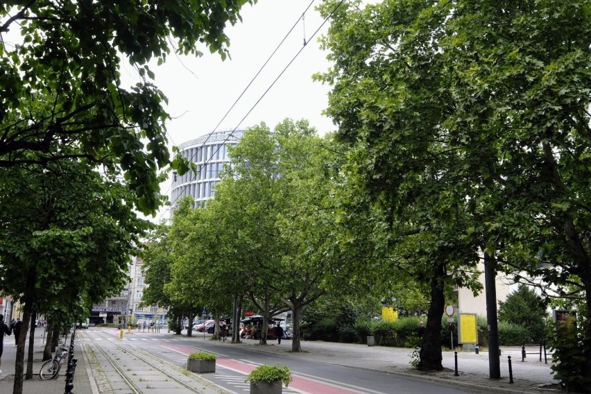 Stowarzyszenie Plac Wolności uważa, że odpowiedź w postaci...