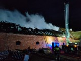 Pożar budynków gospodarczy w Głobicy. Uratowano zwierzęta gospodarskie