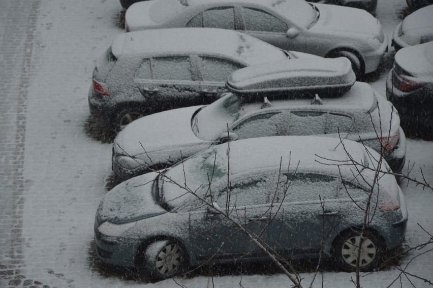 Śnieg sparaliżował ruch w Szczecinie za kilka godzin [ZDJĘCIA]