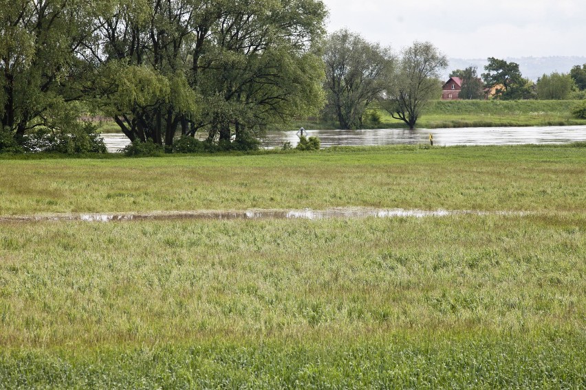 Powódź Małopolska 2014: stany alarmowe na rzekach...
