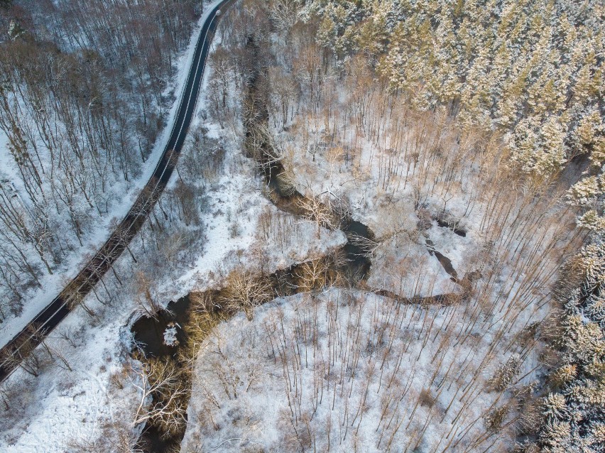 Zima w lasach Doliny Osy w Kłódce pod Grudziądzem [zdjęcia z drona]