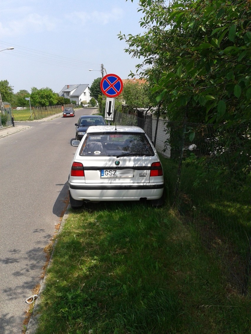 Mistrz Złego Parkowania Maja - ZOBACZ!