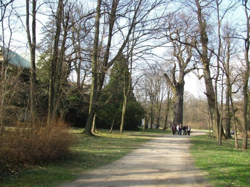 Park przypałacowy w Rudach Raciborskich