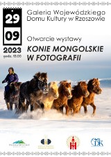 Od piątku wystawa „Konie mongolskie w fotografii” w WDK w Rzeszowie