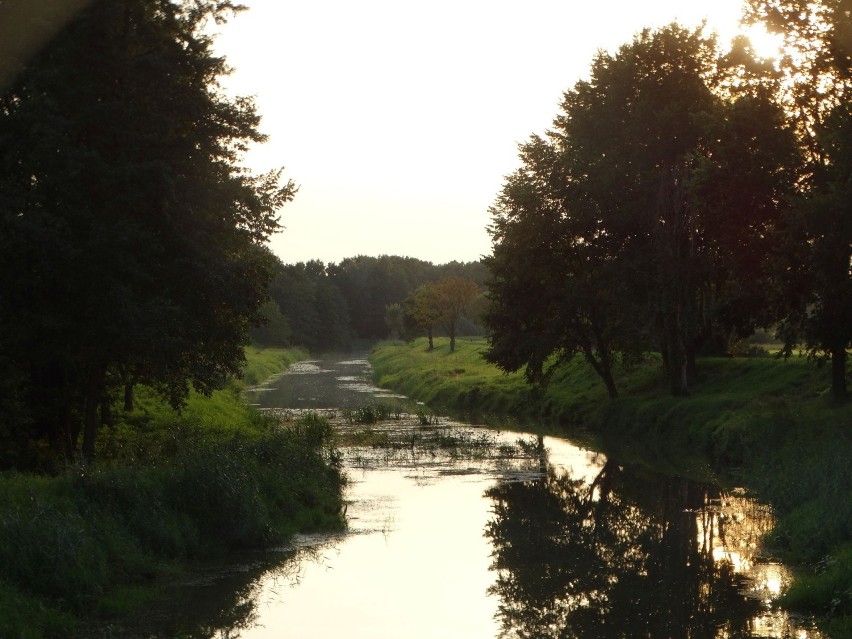 "Pożegnanie lata nad Baryczą", Stawno