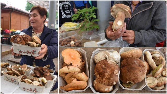 Oto grzyby, które można było kupić w czwartek przed południem na tarnowskim Burku! Oferowało je ok. dziesięciu sprzedających, którzy zebrali je przeważnie na południu powiatu - w lasach w rejonie Tuchowa, Zalasowej i Gromnika.