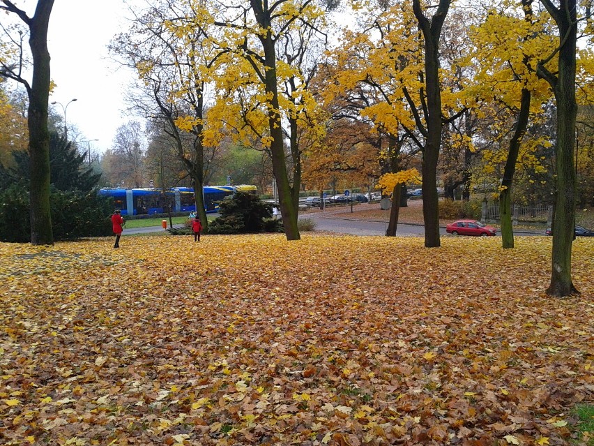 Jesienny Toruń 2014