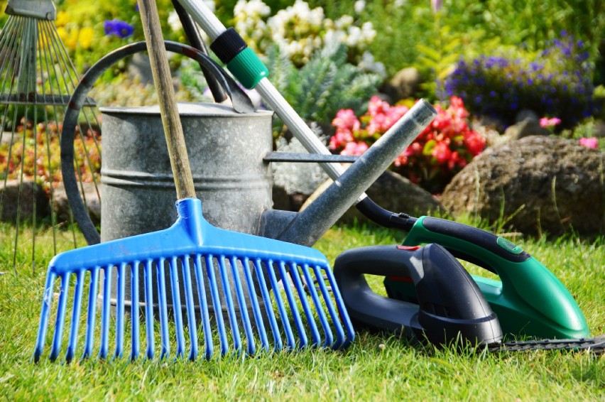 Niezbędnik każdego ogrodnika. Sprawdź, jakie narzędzia ułatwią Ci pracę.