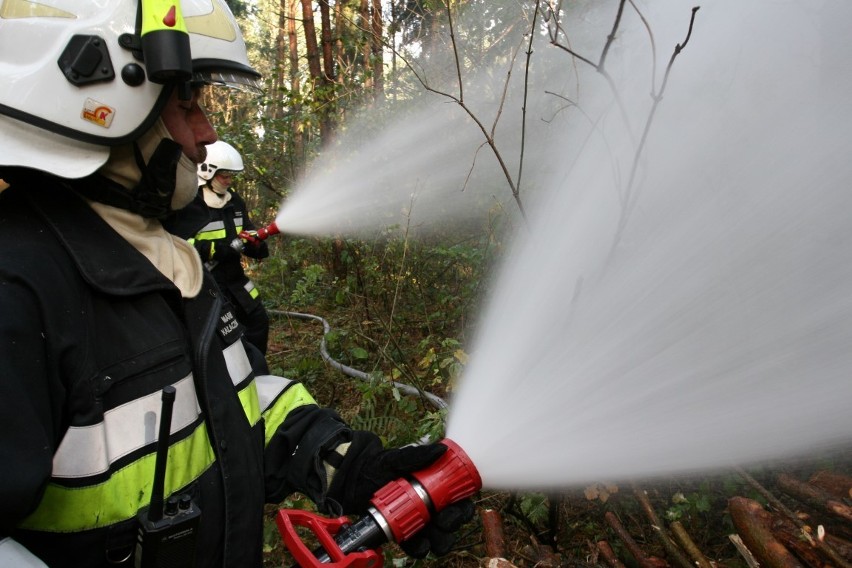 Ćwiczenia strażaków na Mierzei Wiślanej