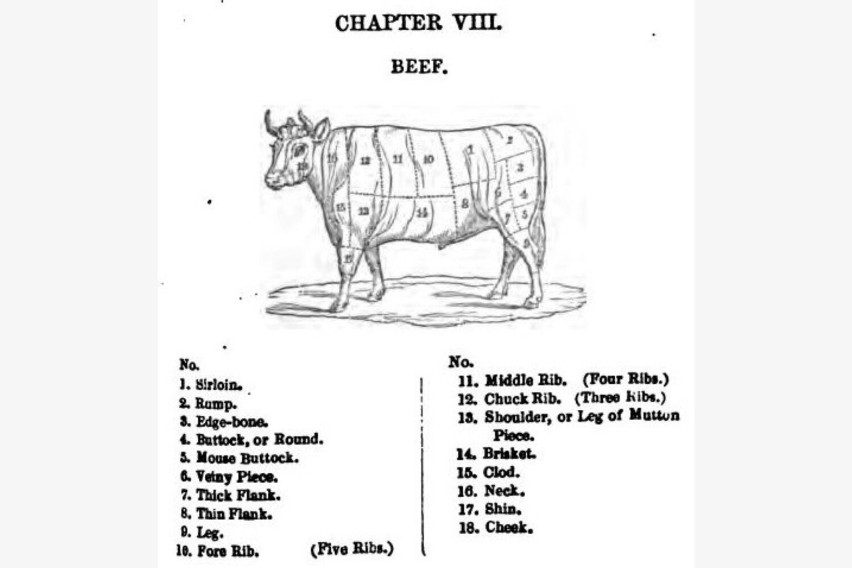 Ilustracja podziału wołowiny z "Modern cookery..."