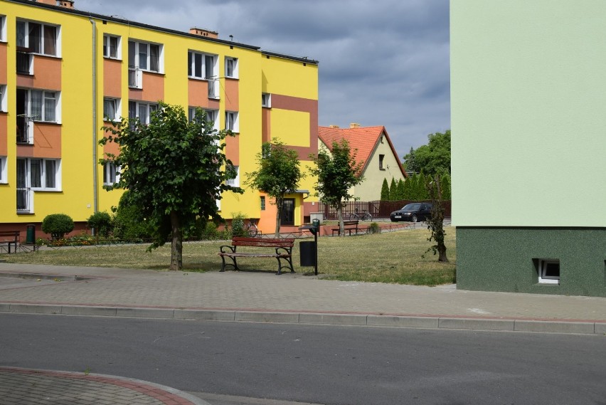 Chaszcze na osiedlu przy ulicy Piastowskiej w Międzyrzeczu