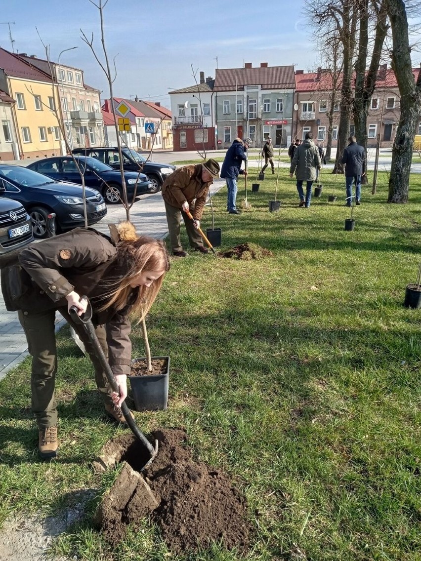 Myśliwi zasadzili drzewa w parku miejskim w Kolnie. Kasztanowce i dęby ozdobiły alejkę