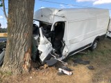 Dwie osoby zginęły w wypadku w Kostowie na krajowej 11. Samochód uderzył w drzewo