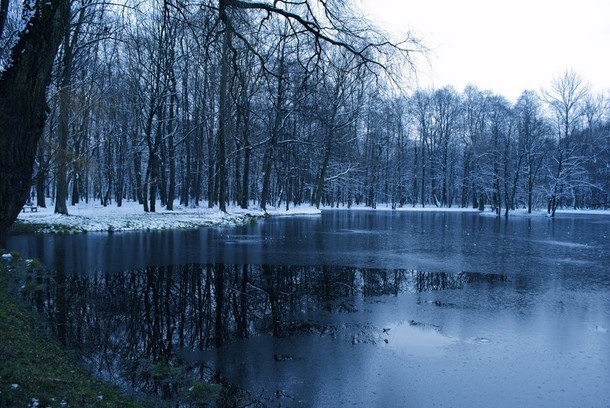 Zdjęcie autorstwa P. Majerczyk, 338 głosów.

Nagroda; Pan...