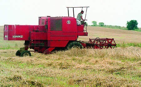 Żniwa powoli się kończą. Teraz rolnicy kalkulują, co się im opłaca.