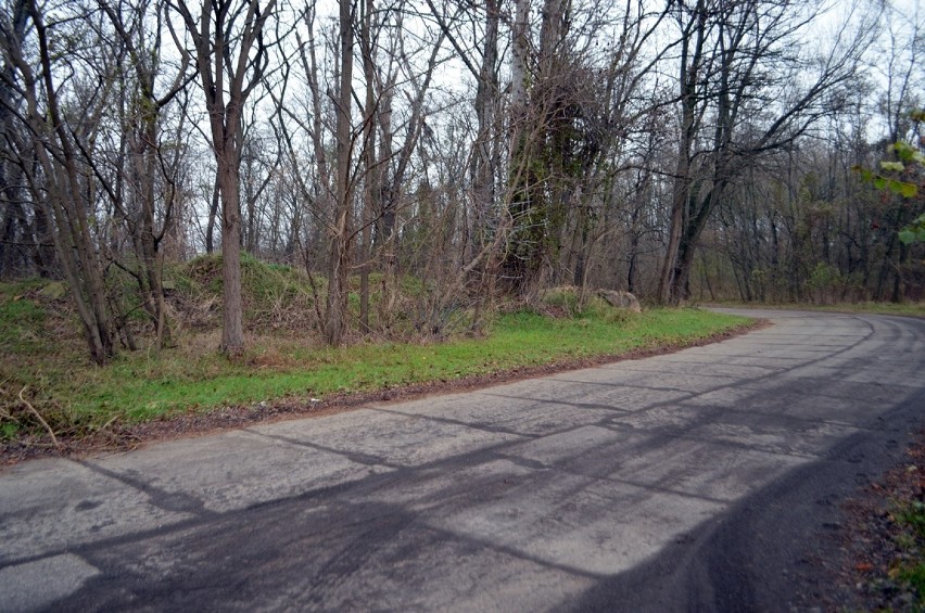 Głogów: Na Ostrowie Tumskim, za Odrą, jest miejsce na nowe osiedle mieszkalne