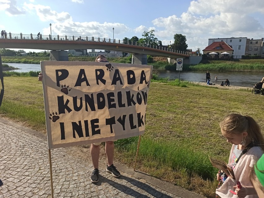VII Parada Kundelków w Koninie