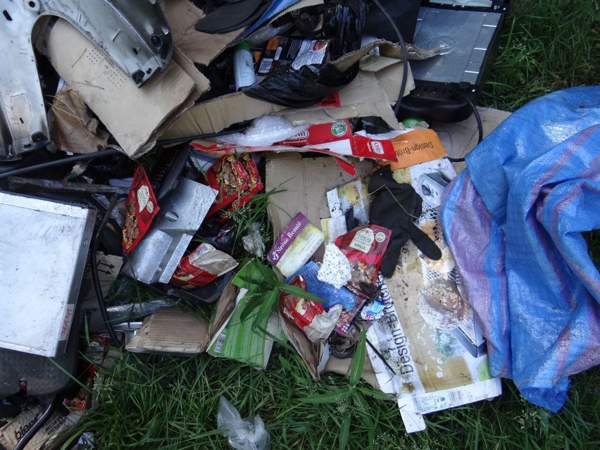 Śmieci pełno w lasach wokół Skierniewic. Grzybiarz znalazł stos odpadów z warsztatu samochodowego  [ZDJĘCIA]