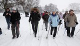 Smog w Łodzi nie zraził seniorów do zajęć z nordic walking