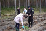 Kilkadziesiąt osób sadziło las w nadleśnictwie Zamrzenica