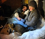 Nocne liczenie bezdomnych w Gdańsku. Wstępny raport poznamy w połowie lutego [ZDJĘCIA]