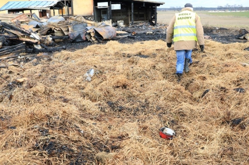 Policjanci ze Świecia zatrzymali mężczyznę podejrzanego o...