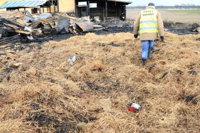 Policjanci ze Świecia zatrzymali mężczyznę podejrzanego o podpalenie stodoły w gminie Lniano