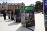 Plenerowa wystawa na placu Słowiańskim w Legnicy -"Jak powstawało Centrum Witelona"