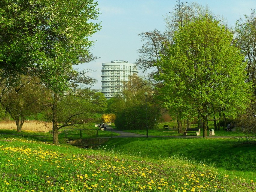 Pogoda zachęca do spacerów, fot. M. Felska