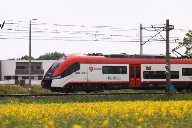 Pociąg Kolei Wielkopolskich relacji Wolsztyn - Gołańcz potrącił mężczyznę, który znalazł się na torach.