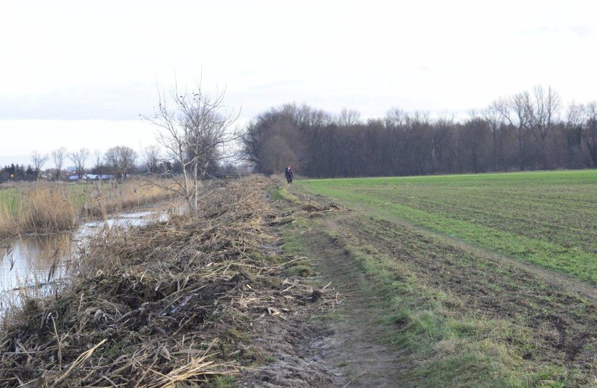   W czasie prac prowadzonych przez Wody Polskie zniszczono ścieżkę przy kanale