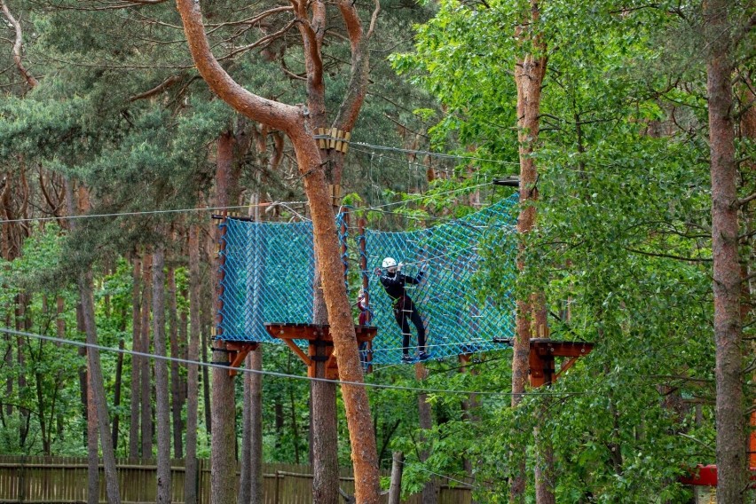 Park linowy to zabawa dla dzieci i dorosłych. Wszystko...