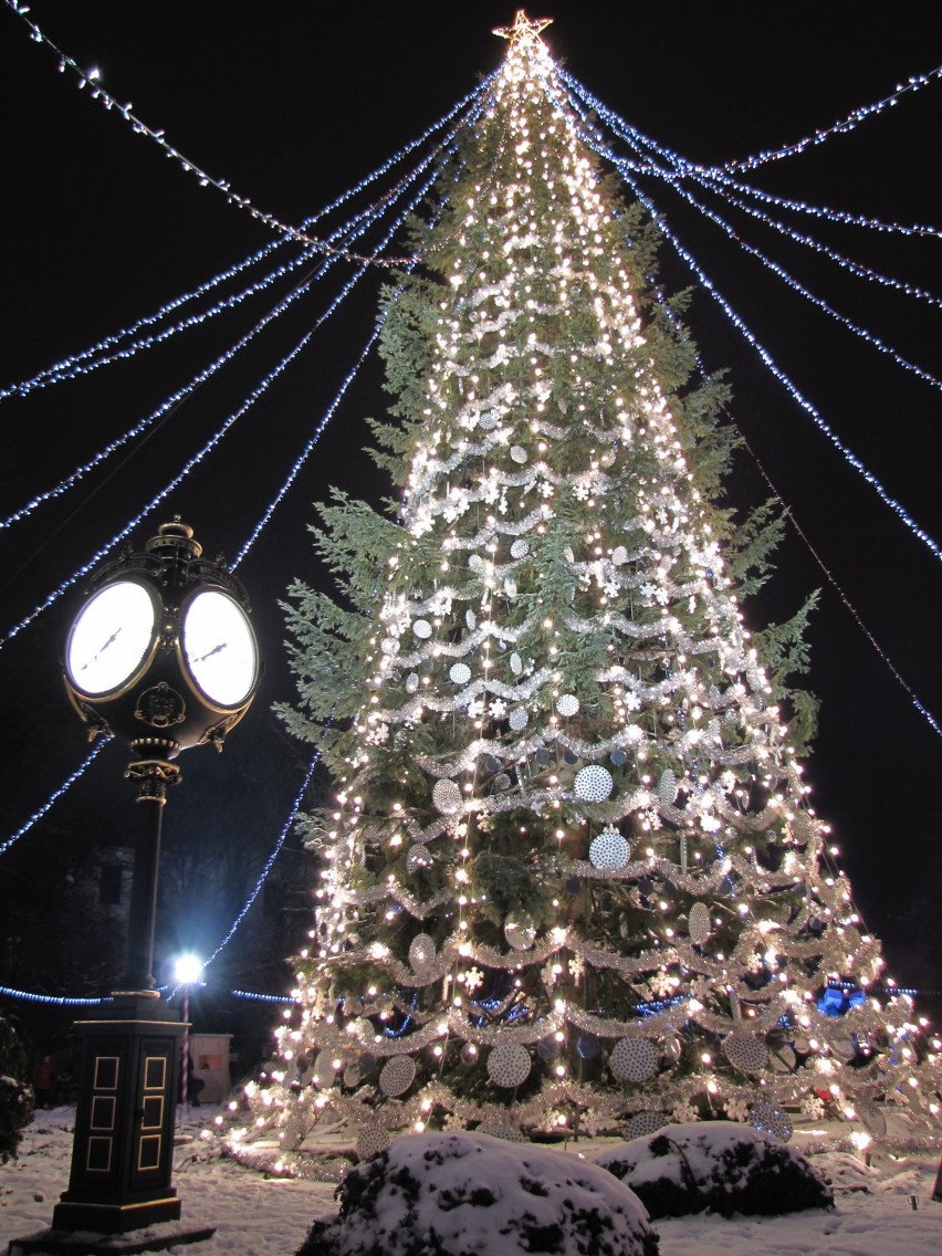Tradycje świąteczne - choinka
Samo żywe drzewko stało się w...