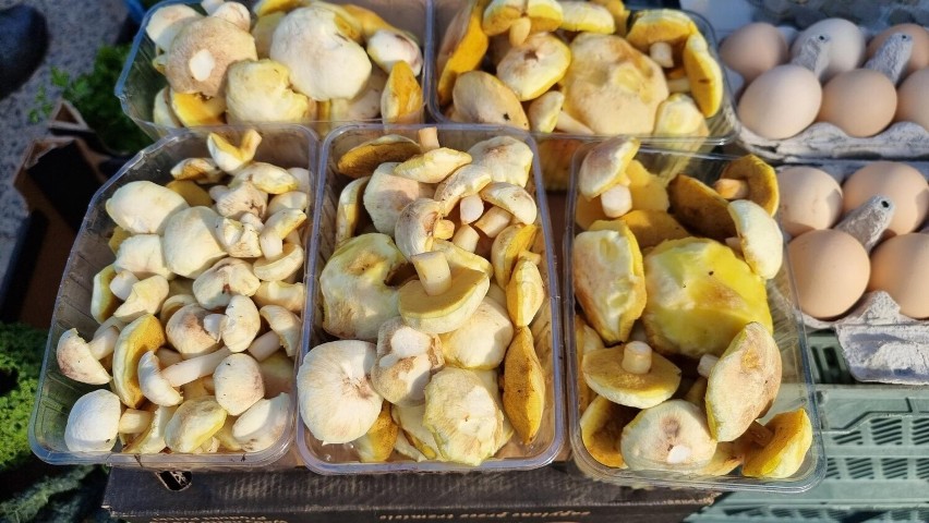 Mnóstwo grzybów na kieleckich bazarach. Jakie były ceny we wtorek, 11 października? Zobacz zdjęcia