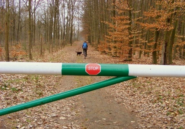 Takie szlabany zagradzają wjazd do Puszczy Zielonki