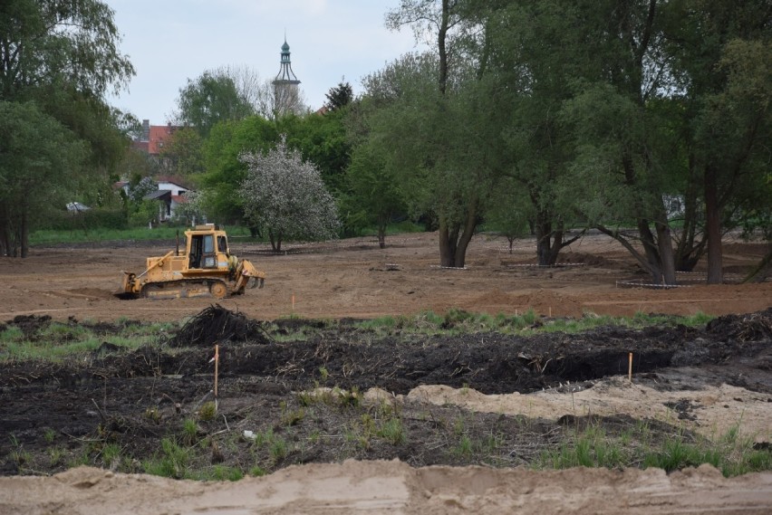 Prace przy budowie parku na błoniach w Świebodzinie wykonano...