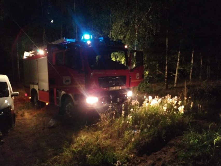 Byk wykoleił lokomotywę koło Starej Łubianki 