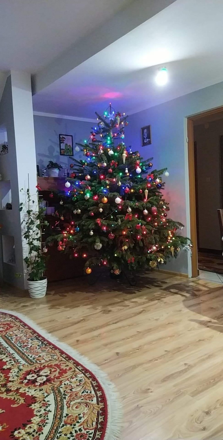 Jakie choinki stanęły w domach skierniewiczan. Pomysłów nie brakowało [ZDJĘCIA]