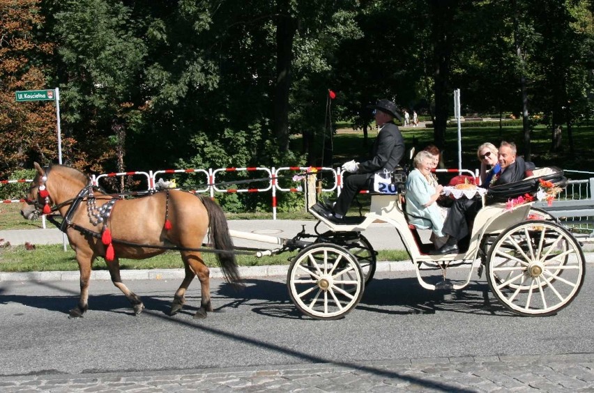 Dożynki gminy Kozy 2013