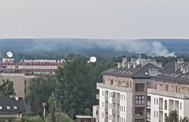 Pożar w Zielonej Górze na Trasie Północnej 10 sierpnia 2018