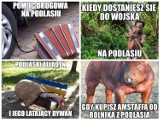 Beka z Podlasia. Czy zasłużona? Tak się z nas śmieją