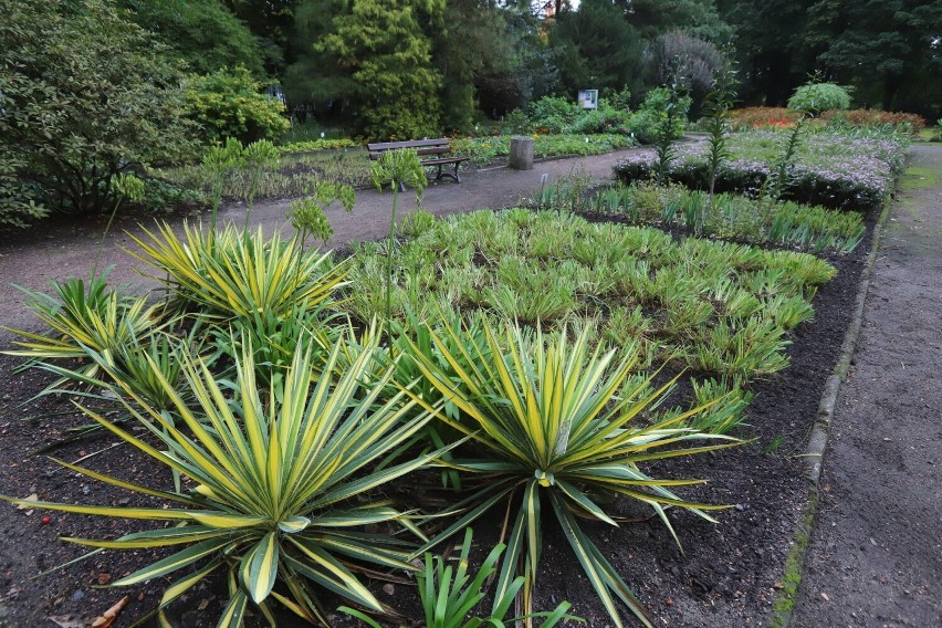 Ogród botaniczny w Zabrzu. To świetna propozycja na jesienny spacer pośród kolorowych kwiatów i krzewów