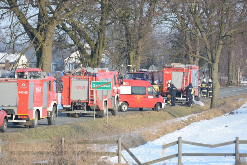 Tragedia w Gołębiewie. Samochód uderzył w drzewo. Nie żyje kierowca [wideo, zdjęcia]