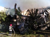 Pożar hali przy Jeleniogórskiej w Poznaniu. Z ogniem walczyło 13 zastępów straży pożarnej [ZDJĘCIA]