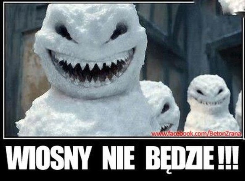 Nadejście wiosny na wesoło  - zobacz najlepsze memy.